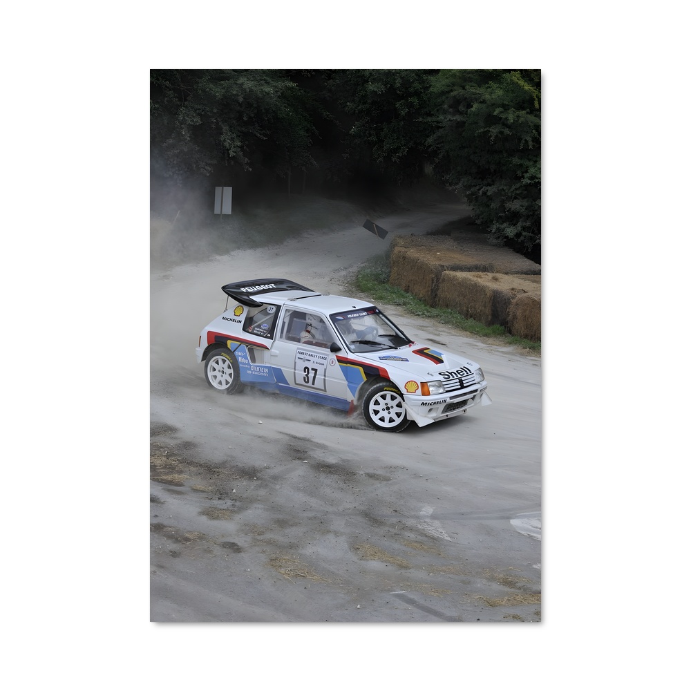 Poster impressionnant de rallye